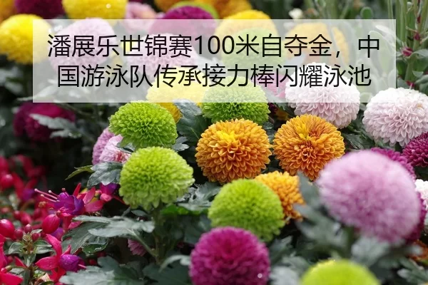 潘展乐世锦赛100米自夺金，中国游泳队传承接力棒闪耀泳池