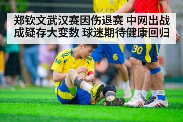 郑钦文武汉赛因伤退赛 中网出战成疑存大变数 球迷期待健康回归